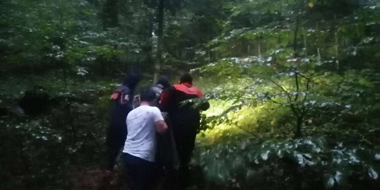 Onlar mantar bulmak için ekipler de onları bulmak için uğraştı