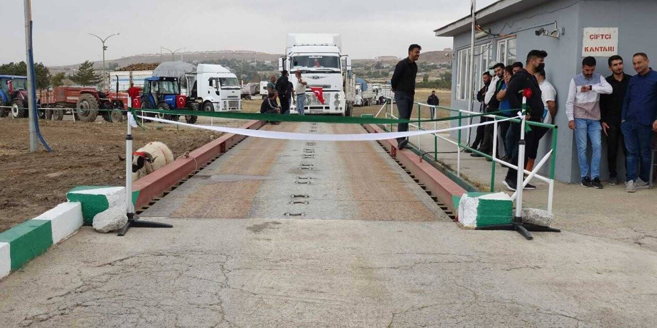 Erciş’te şeker pancarı alımı başladı