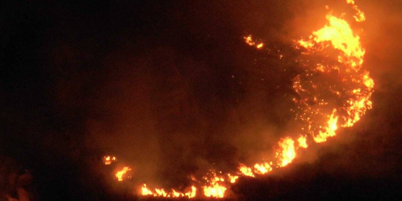 Bodrum’da makilik alanda yangın