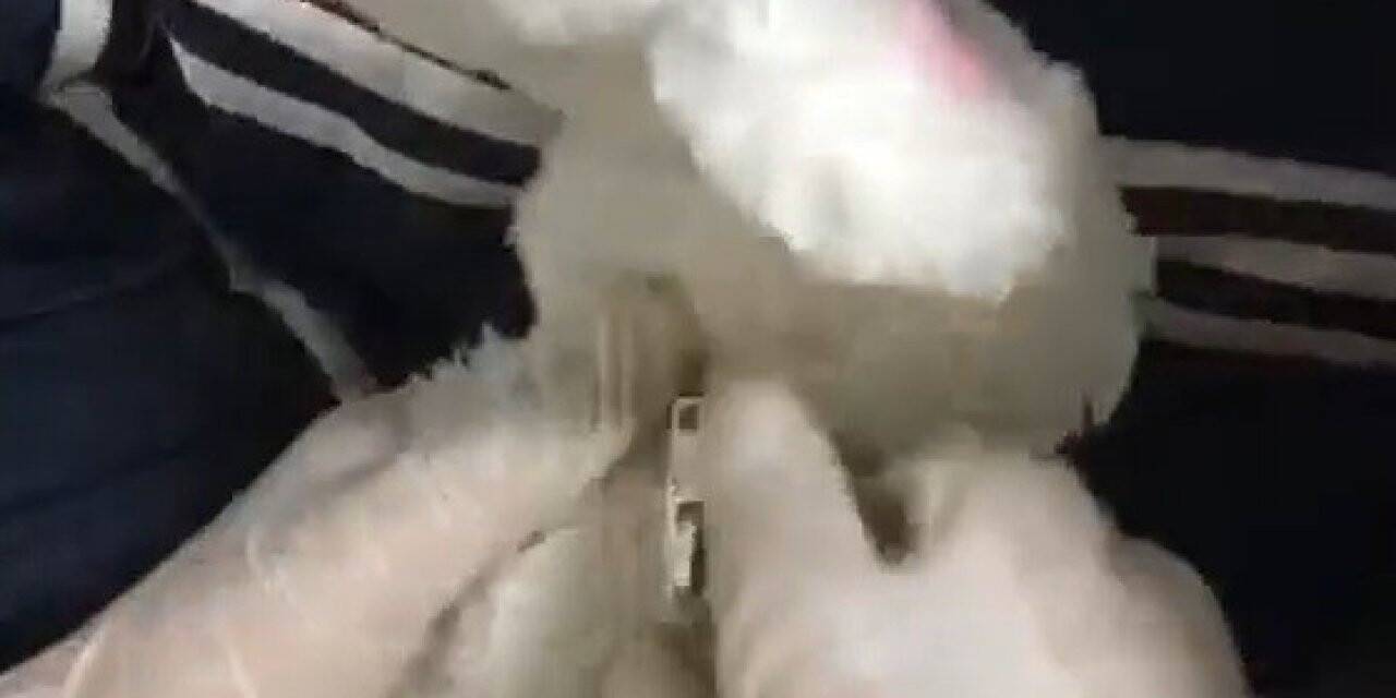 Oyuncak içerisinden uyuşturucu çıktı