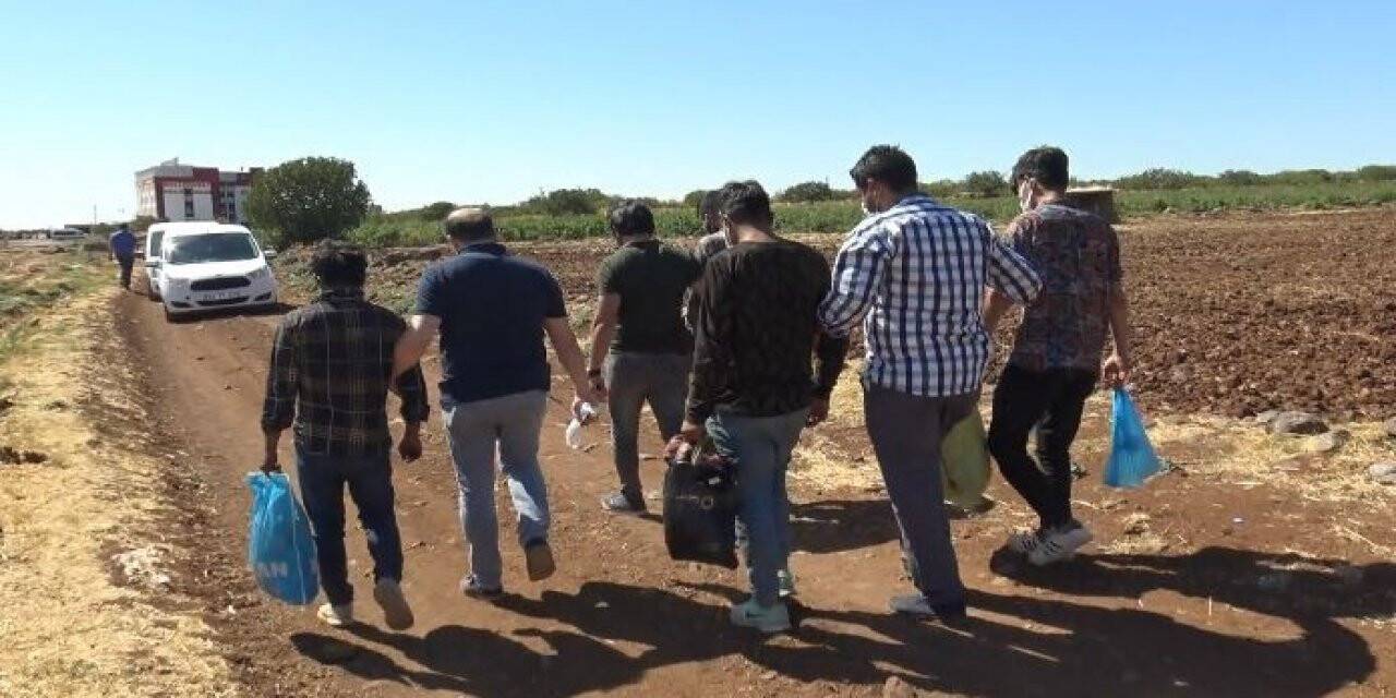 Siverek’te 17 düzensiz göçmen yakalandı