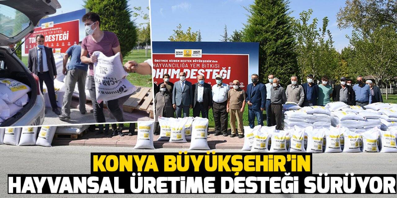 Konya Büyükşehir’in hayvansal üretime desteği sürüyor