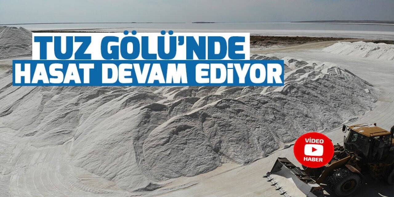 Tuz Gölü’nde hasat devam ediyor