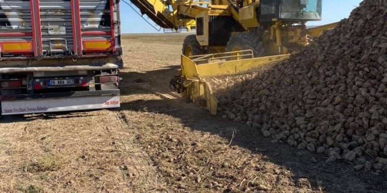 Kulu’da pancar hasadı erken sökümüne başlandı