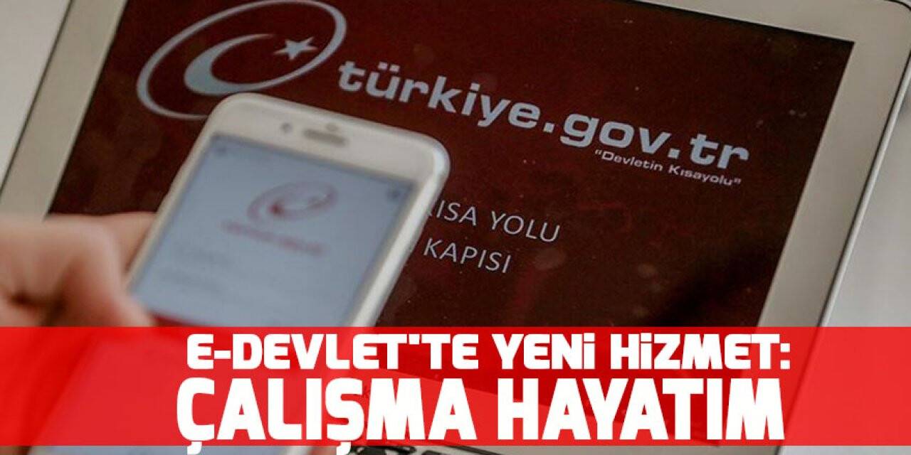 e-Devlet'te yeni hizmet: Çalışma Hayatım