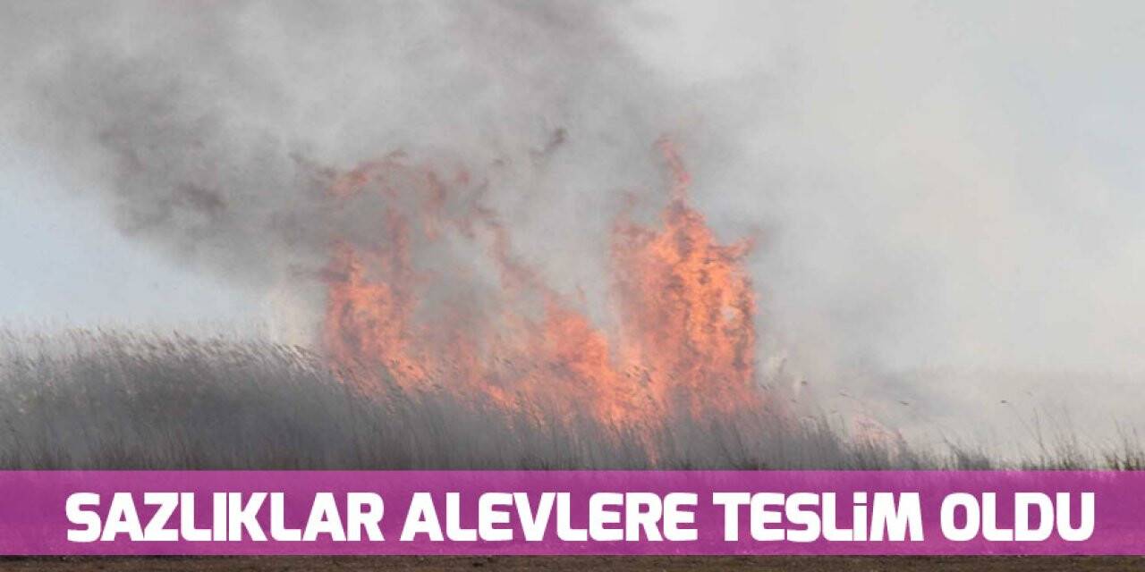 Beyşehir Gölü Milli Parkı kıyısındaki sazlıklar alev alev