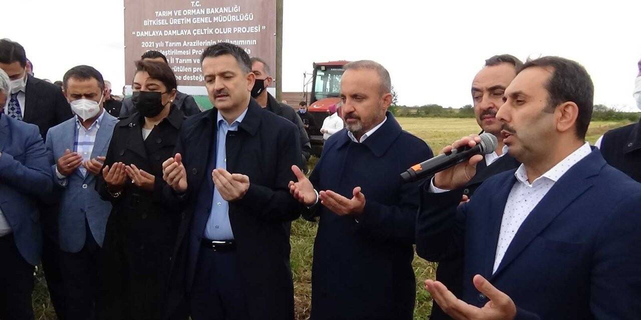 Bakan Pakdemirli Çanakkale’de damla sulamayla yetiştirilen çeltik hasadına katıldı