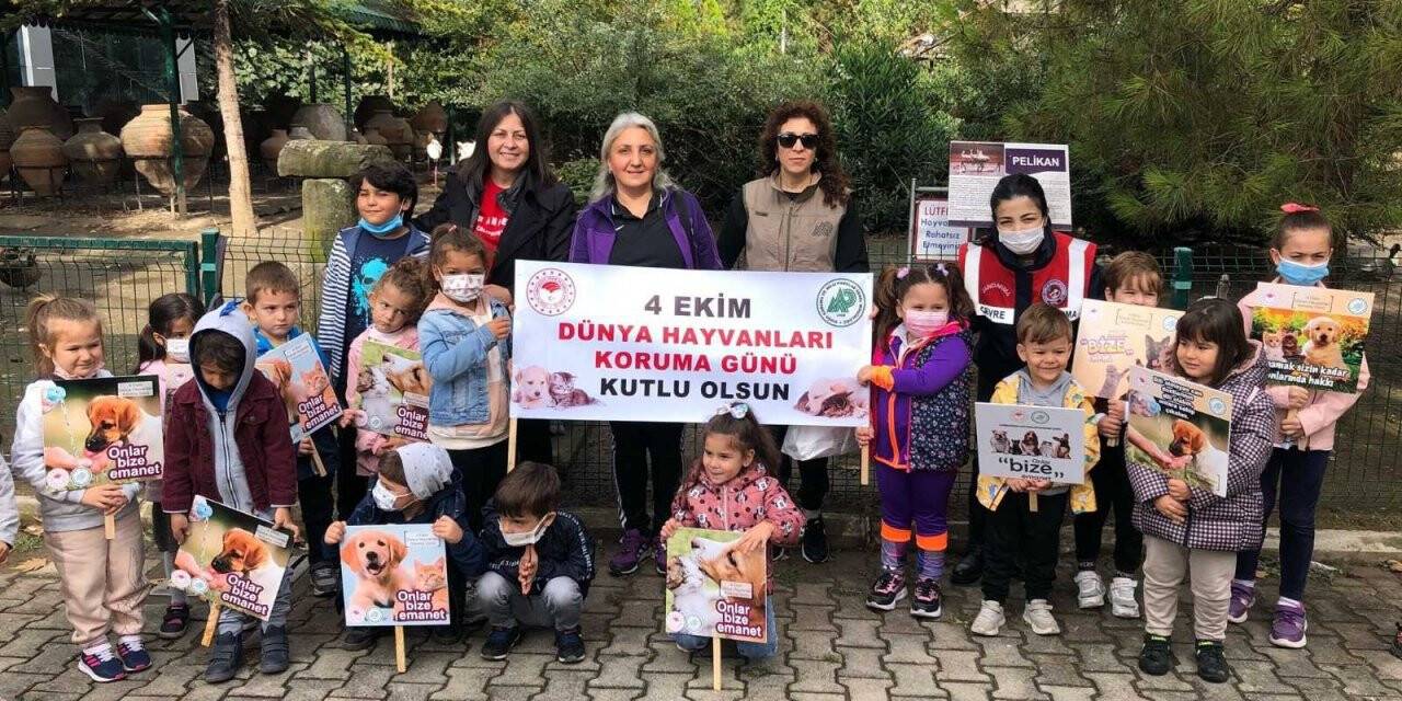 4 Ekim Dünya Hayvanları Koruma Günü