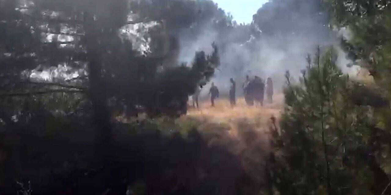 Edremit’te orman yangını