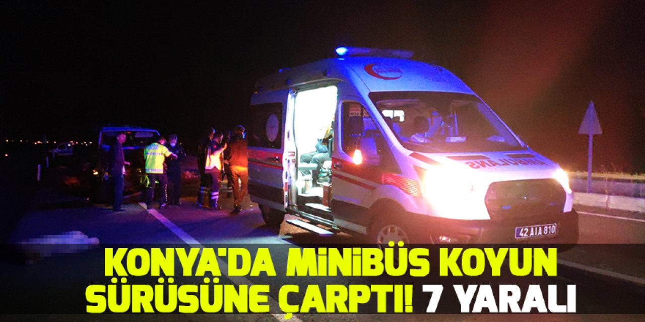Konya'da minibüs koyun sürüsüne çarptı! 7 yaralı