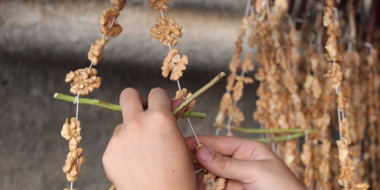 Şifa kaynağı yöresel tatlılar olan harire ve cevizli sucuk yapımı başladı