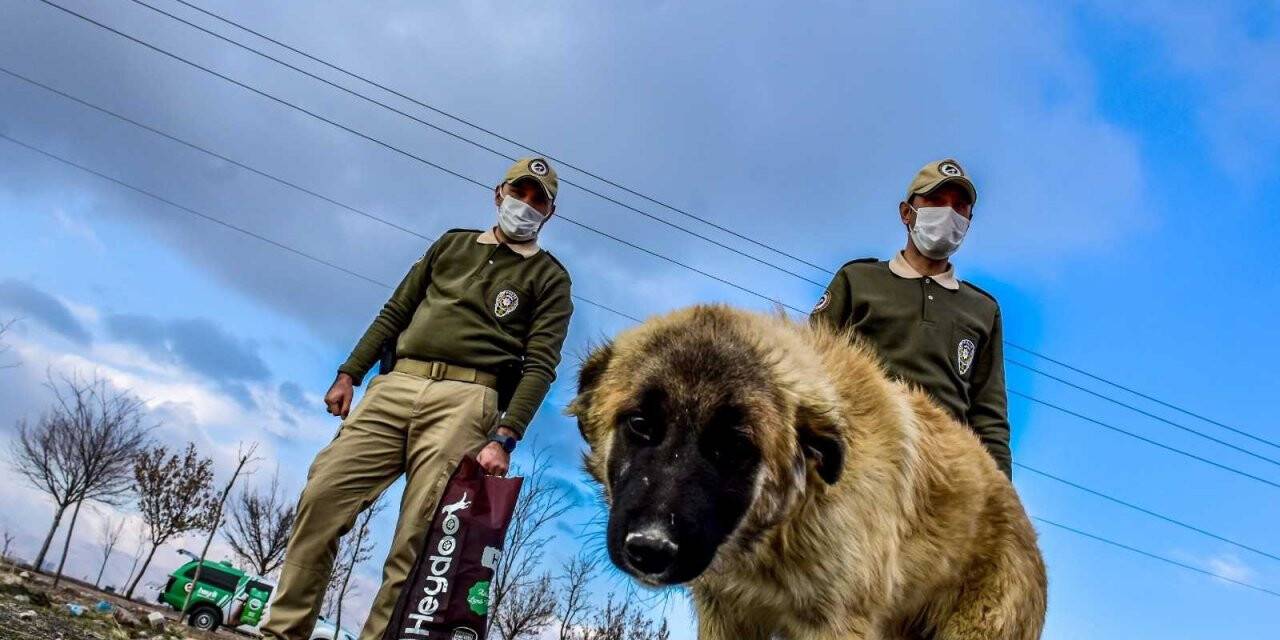 Çevre, Doğa ve Hayvanları Koruma Polisleri “dilsiz canları” yalnız bırakmıyor