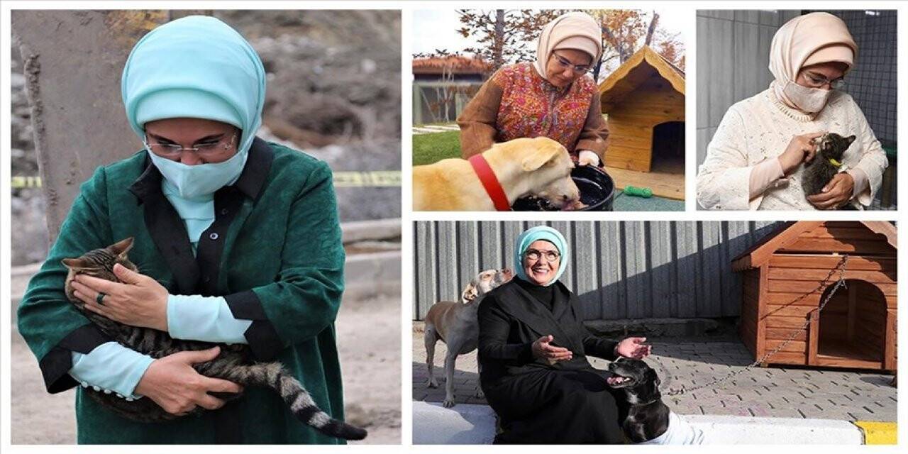 Emine Erdoğan'dan "Hayvanları Koruma Günü" paylaşımı