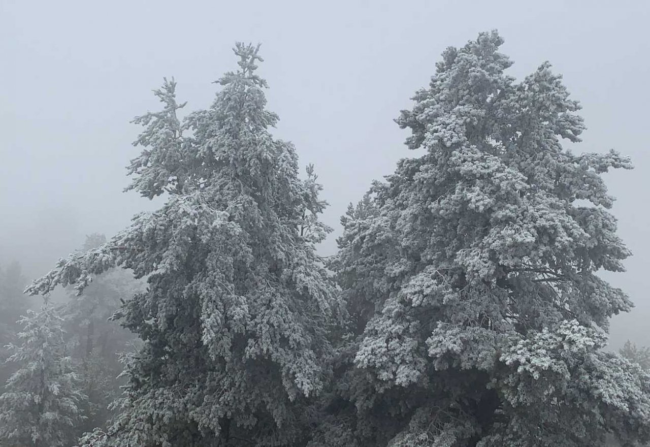 Dünyada sadece iki bölgede olan kristal kar, ağaçları beyaza bürüdü