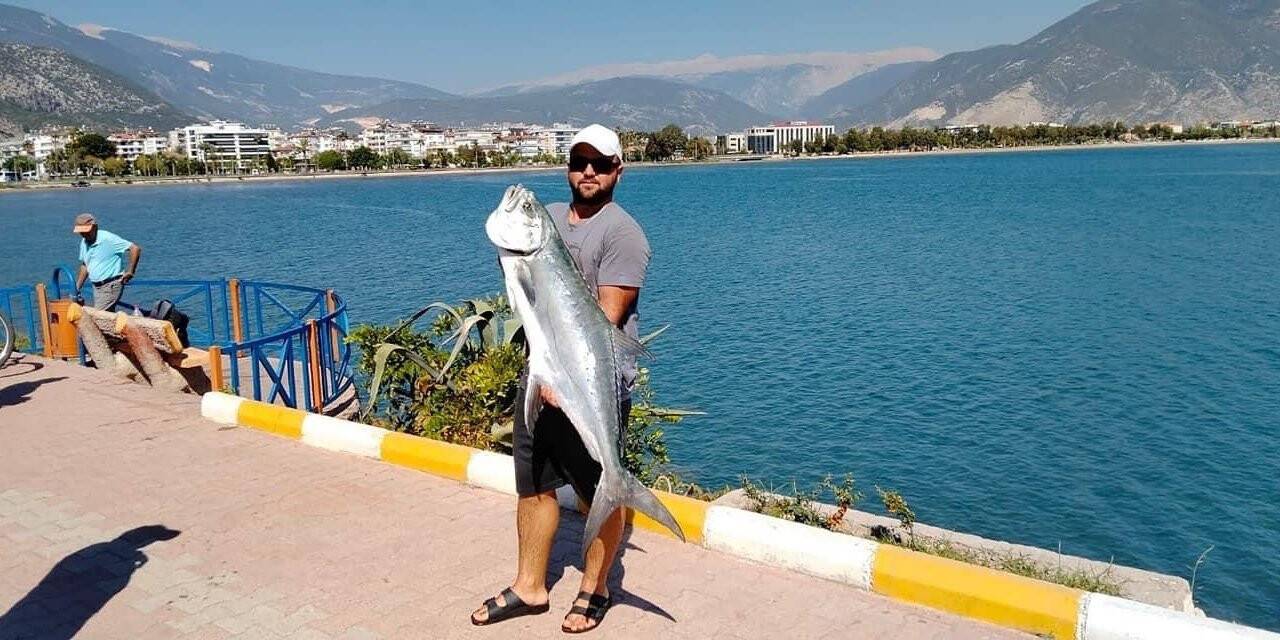 Kıyıdan 15 kiloluk liça balığı avladı