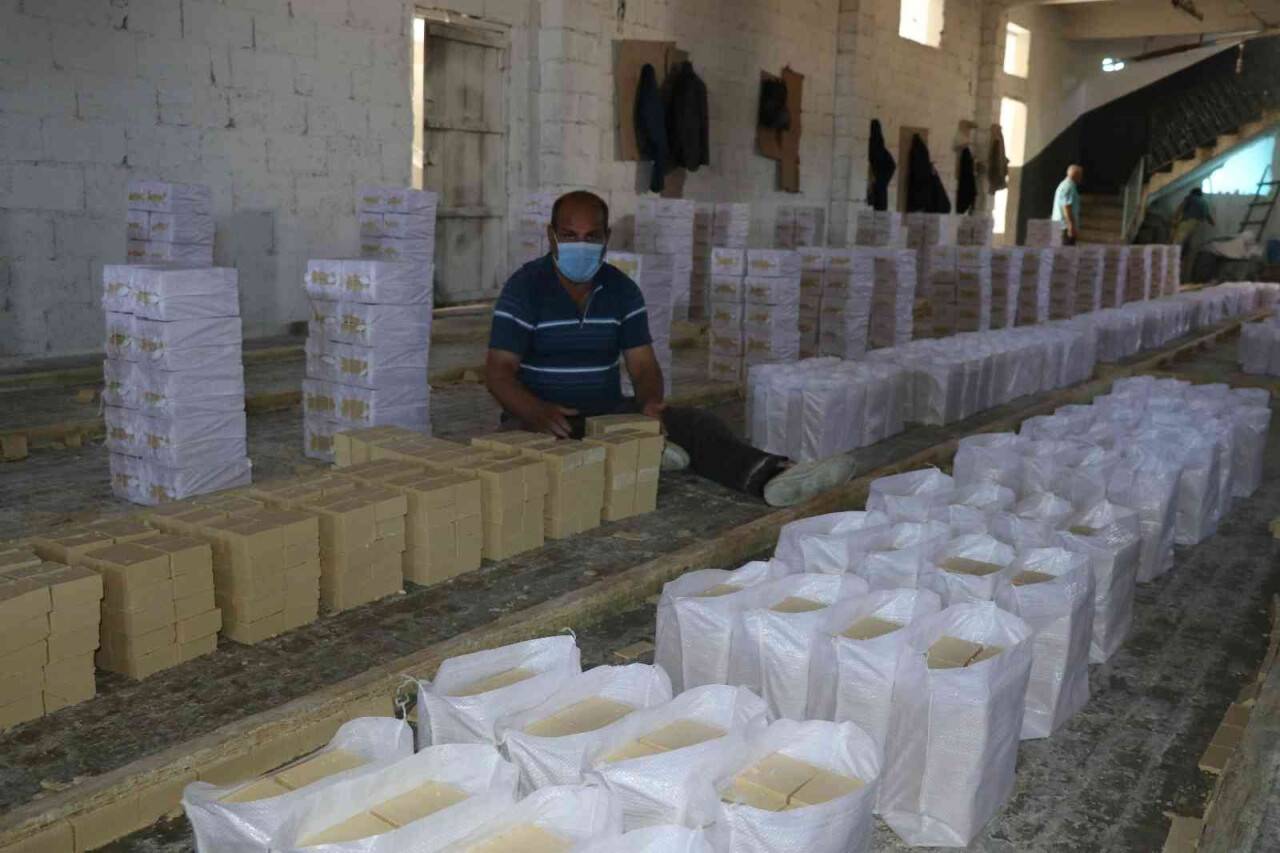 Pandemi en çok onlara yaradı