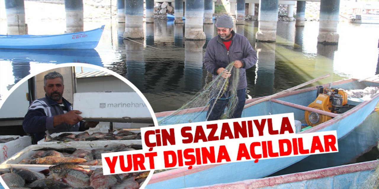 Konya'da balıkçılar Çin sazanıyla yurt dışına açıldı