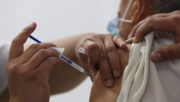 Tayland'da domuz gribi: 50 ölü!