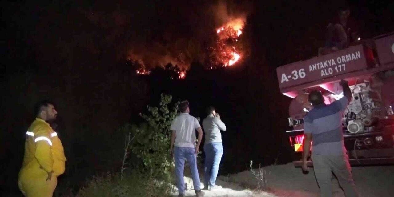 Hatay’daki orman yangını kontrol altına alındı