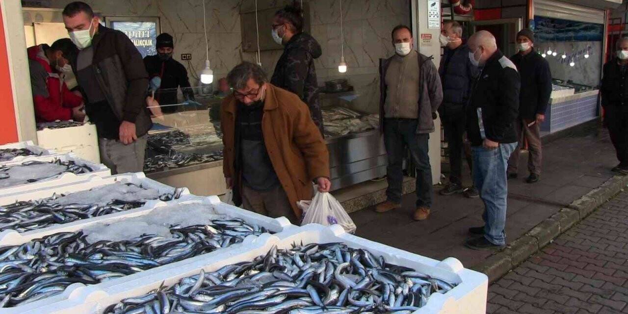 Hamsinin kilosu 5 TL’ye düştü! vatandaş tezgahlara akın etti