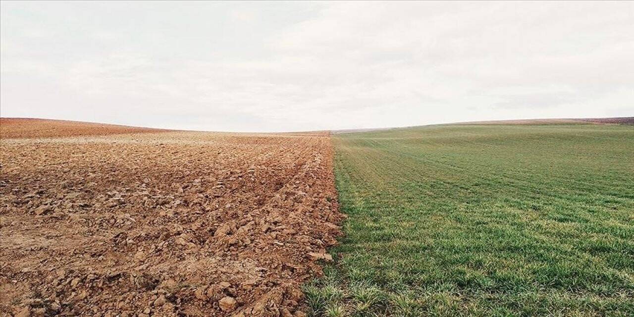 Paris İklim Anlaşması ve Türkiye'nin ekoloji-ekonomi denklemi