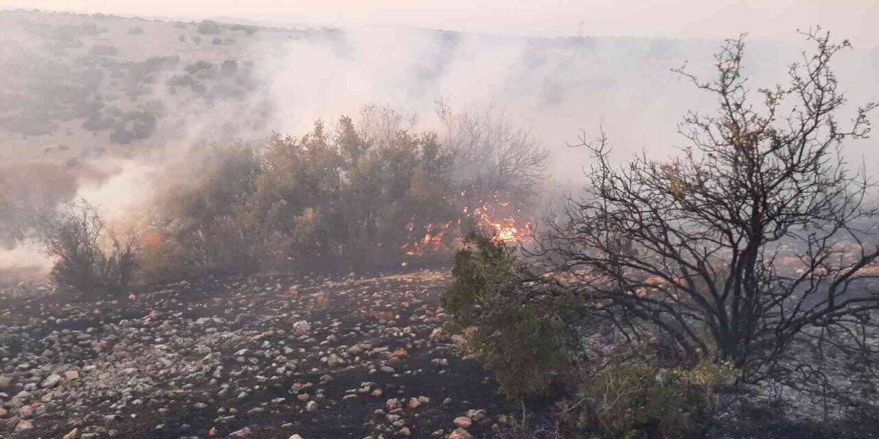 Korkutan orman yangını 5 saatte kontrol altına alındı