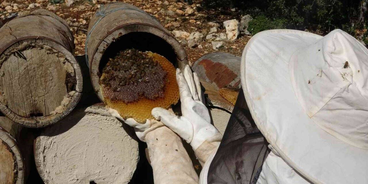 Yörüklerin 100 yıl önce göç yolunda ürettiği asırlık balı yeniden ürettiler