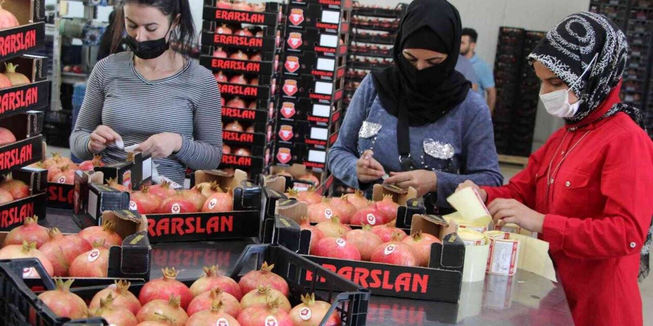 Nar ihracatında hedef bin 200 ton