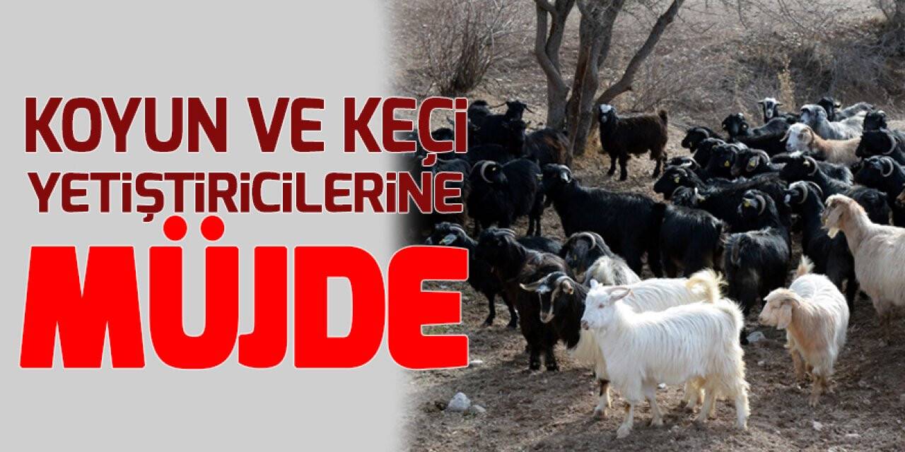Bakan Pakdemirli'den koyun ve keçi yetiştiricilerine müjde