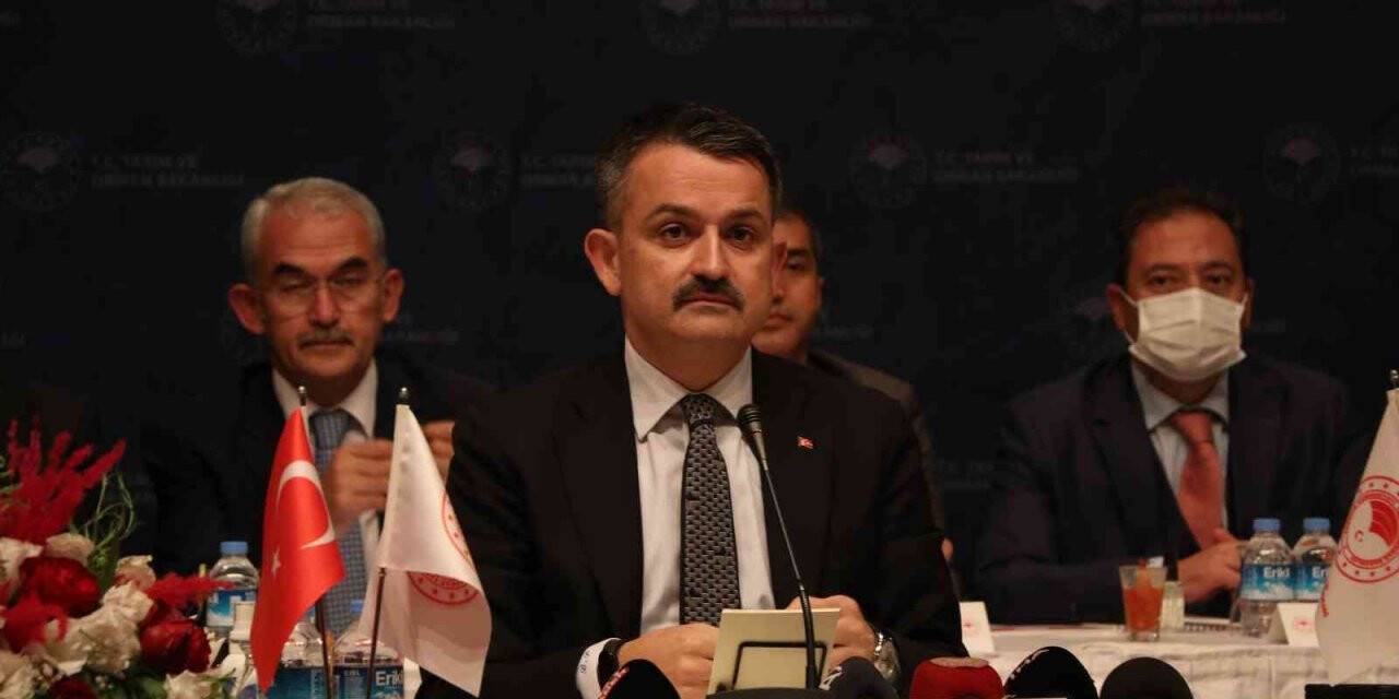 Bakan Pakdemirli: Mersin son 19 yılda üretimini 9 misli artırdı