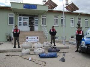 Jandarma, kaçak avcılara göz açtırmıyor