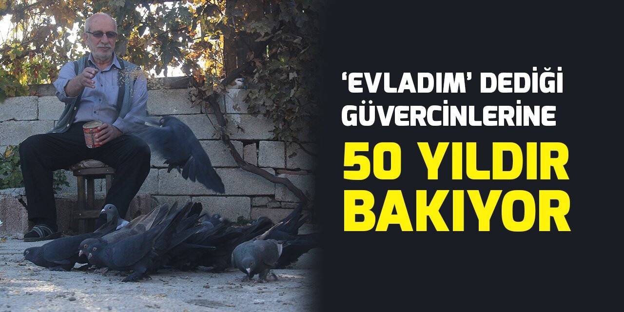 "Evladım" dediği güvercinlerine 50 yıldır bakıyor