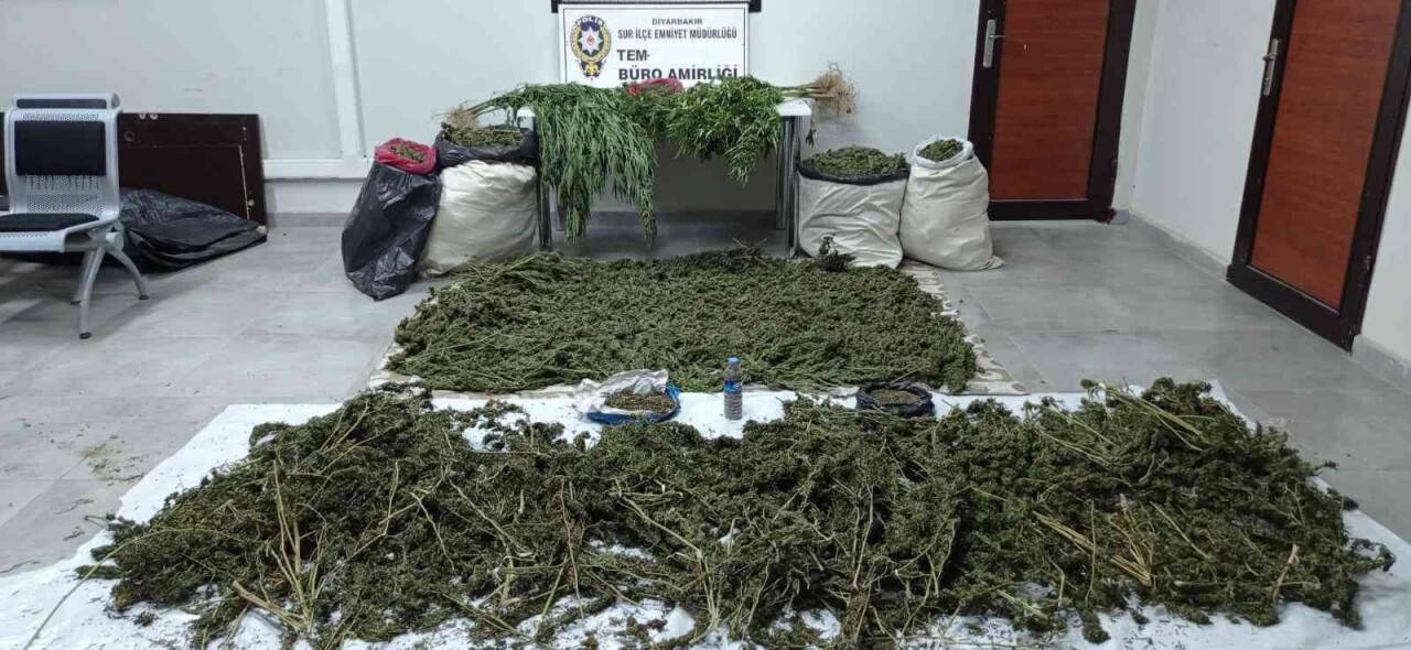 Hevsel Bahçeleri’nde 62 kilo esrar ele geçirildi