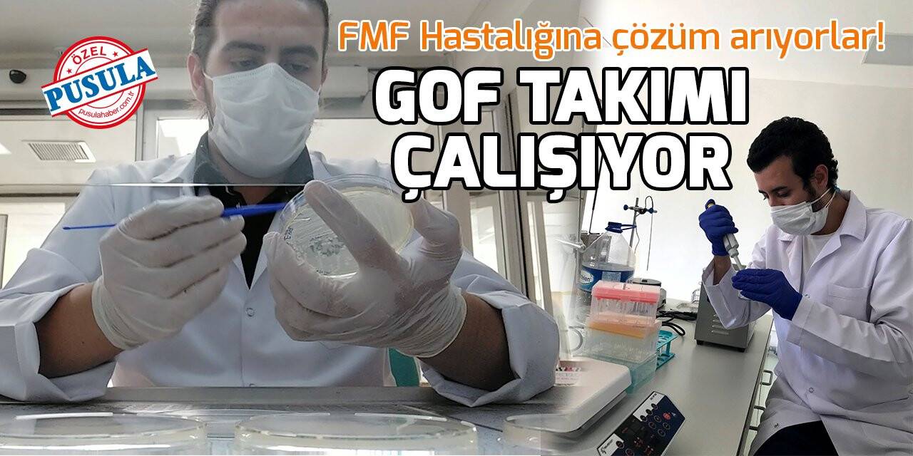 GOF Takımı FMF Hastalığına çözüm için çalışıyor