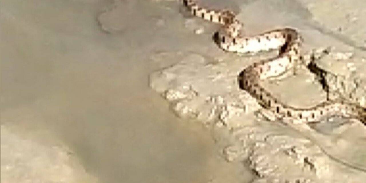 Yılanın yakaladığı kurbağa ile imtihanı