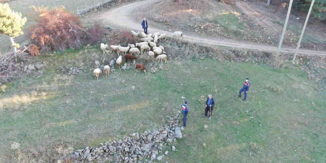 Kaybolan hayvanlar drone destekli arama çalışması ile bulundu