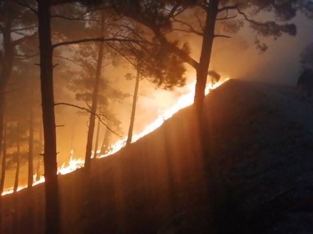 Kazdağları’nda korkutan yangın