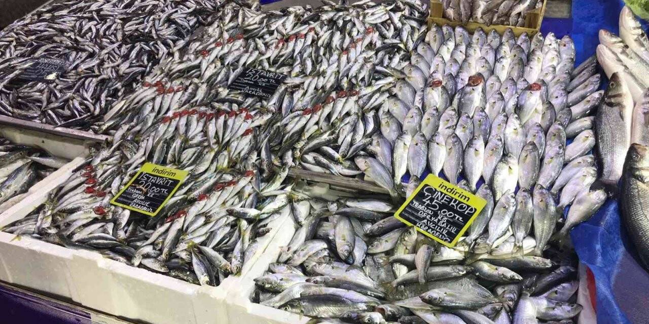 Balığa rağbet arttı