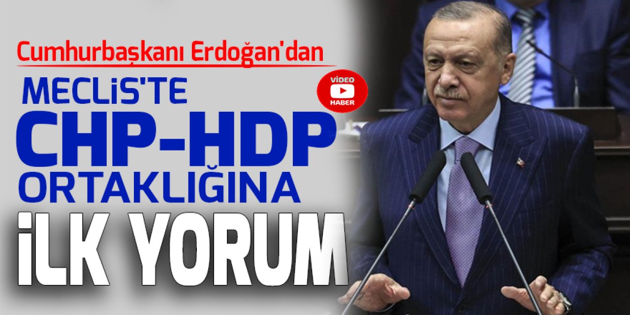 Cumhurbaşkanı Erdoğan'dan Meclis'te CHP-HDP ortaklığına ilk yorum