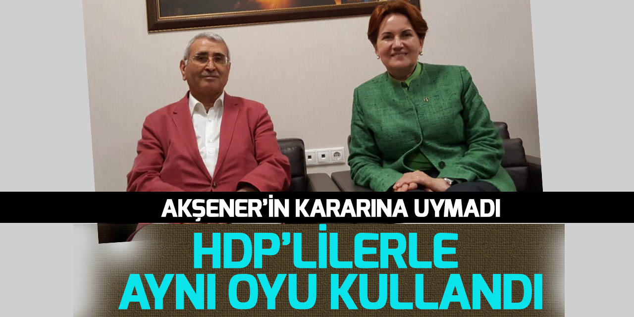 İYİ Partili Durmuş Yılmaz, HDP'lilerle aynı oyu kullanmış!
