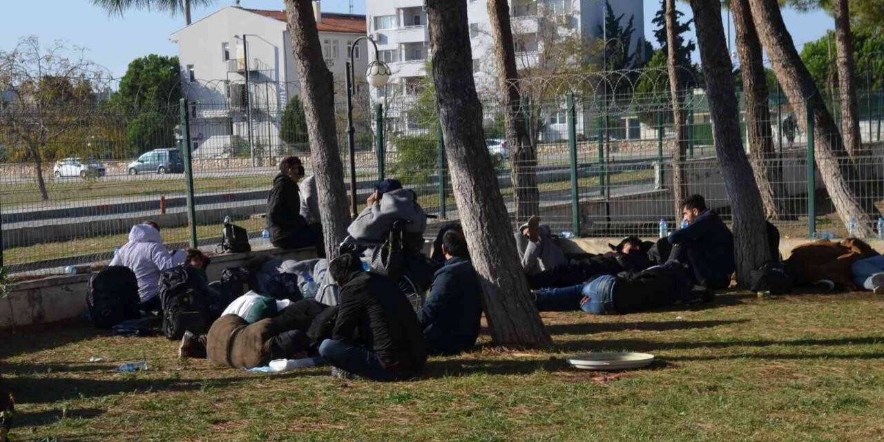 Didim’de 75 göçmen yakalandı