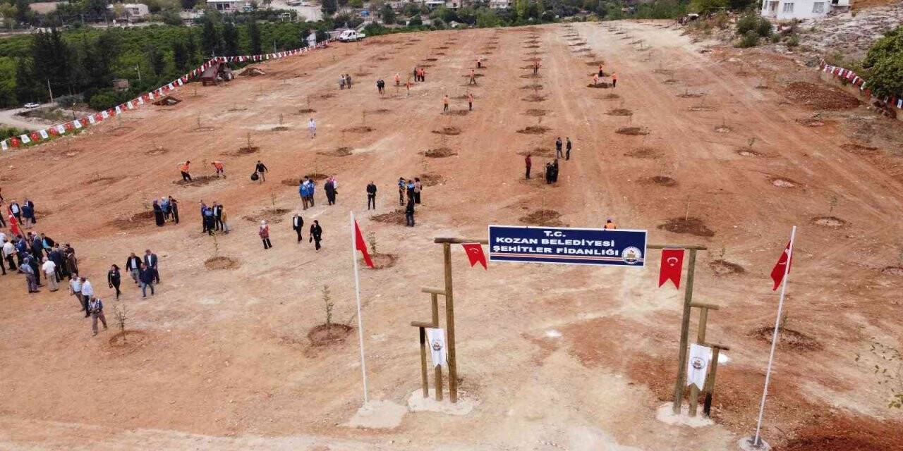 Kozanlı 69 şehidin adına harnup fidanı dikildi