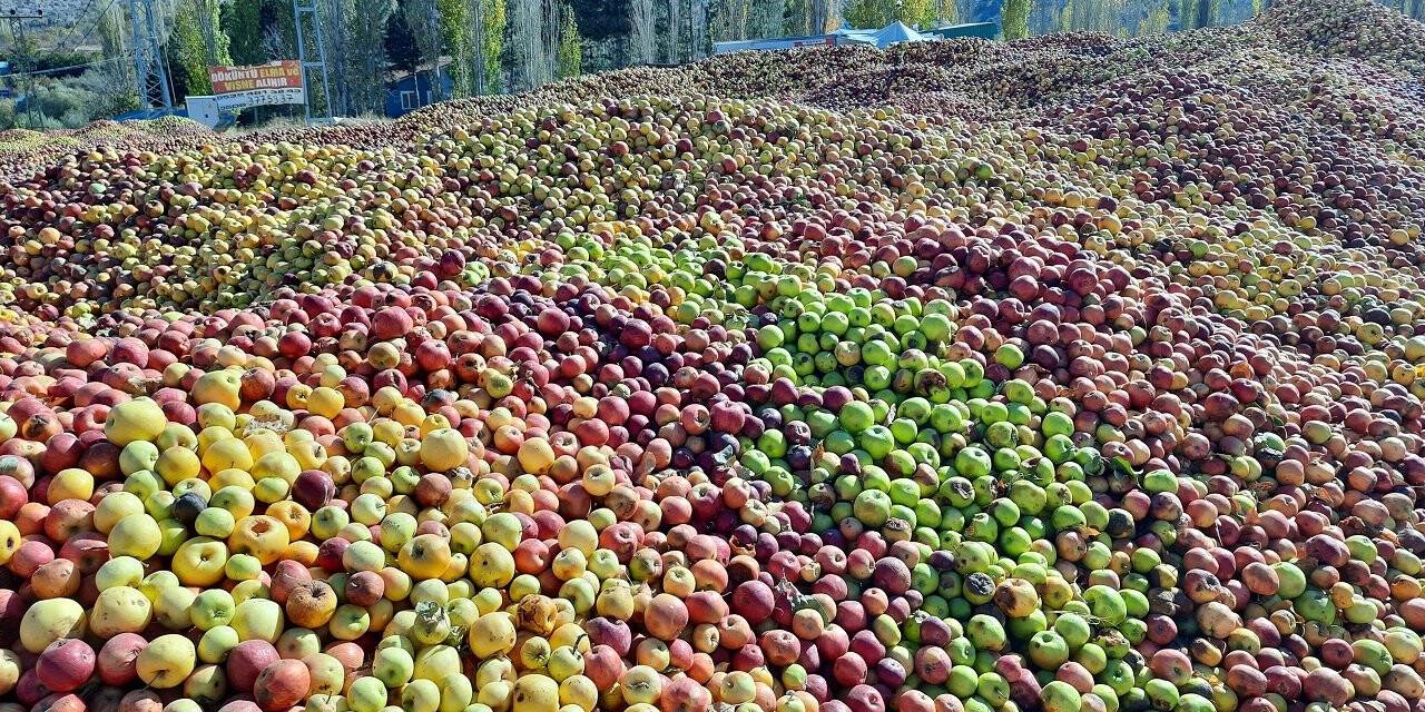 ‘Döküntü Elmalar’ meyve suyu oluyor