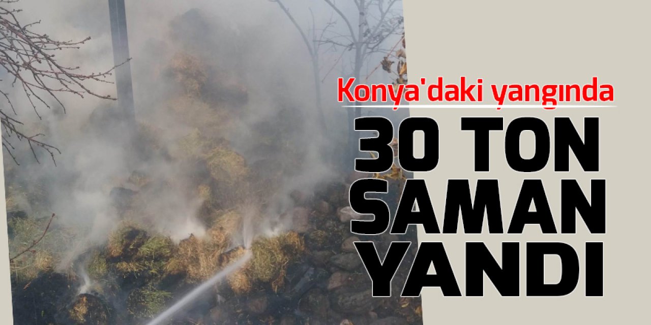 Konya'daki yangında 30 ton saman yandı