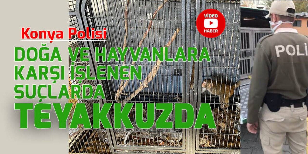 Konya Polisi doğa ve hayvanlara karşı işlenen suçlarda teyakkuzda