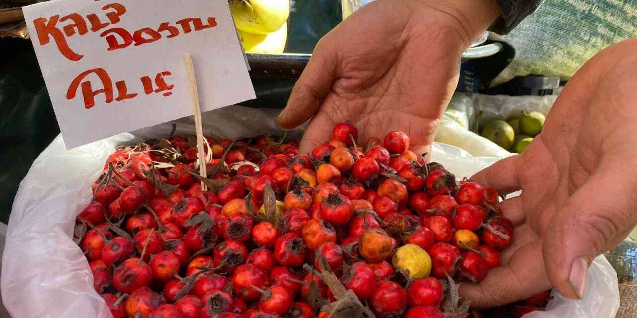Bağışıklık sistemini güçlendiren kalp dostu Alıç meyvesi tezgahlarda yerini aldı