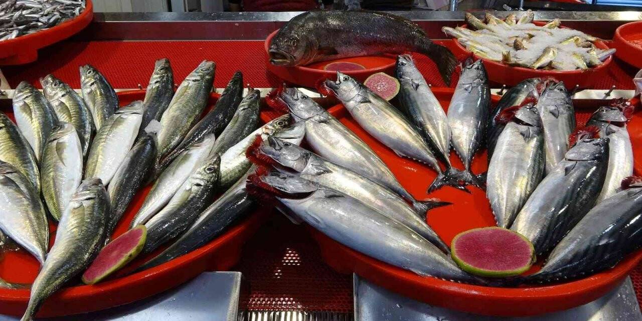 Kilosu 10 TL’ye kadar düştü, tuzlama zamanı geldi