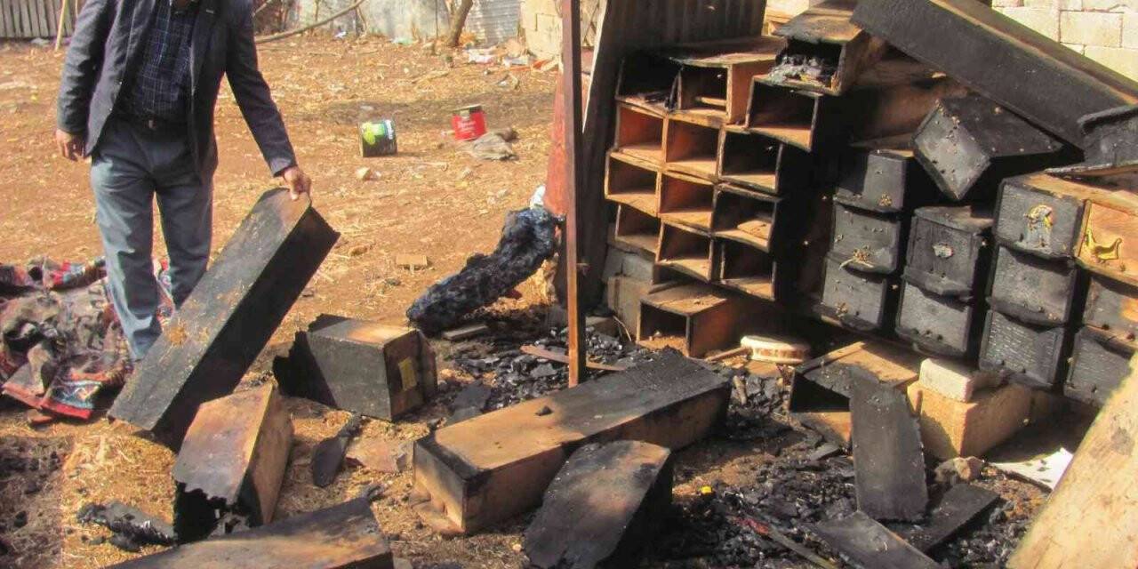 25 arı kovanı yandı binlerce arı telef oldu