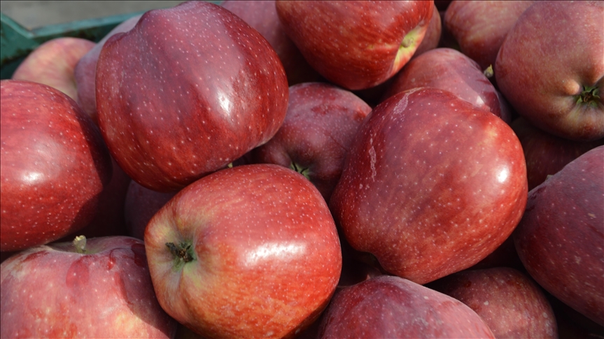 Türkiye'nin elma ihracatı 9 ayda yüzde 65, elma suyu ihracatı yüzde 62 arttı