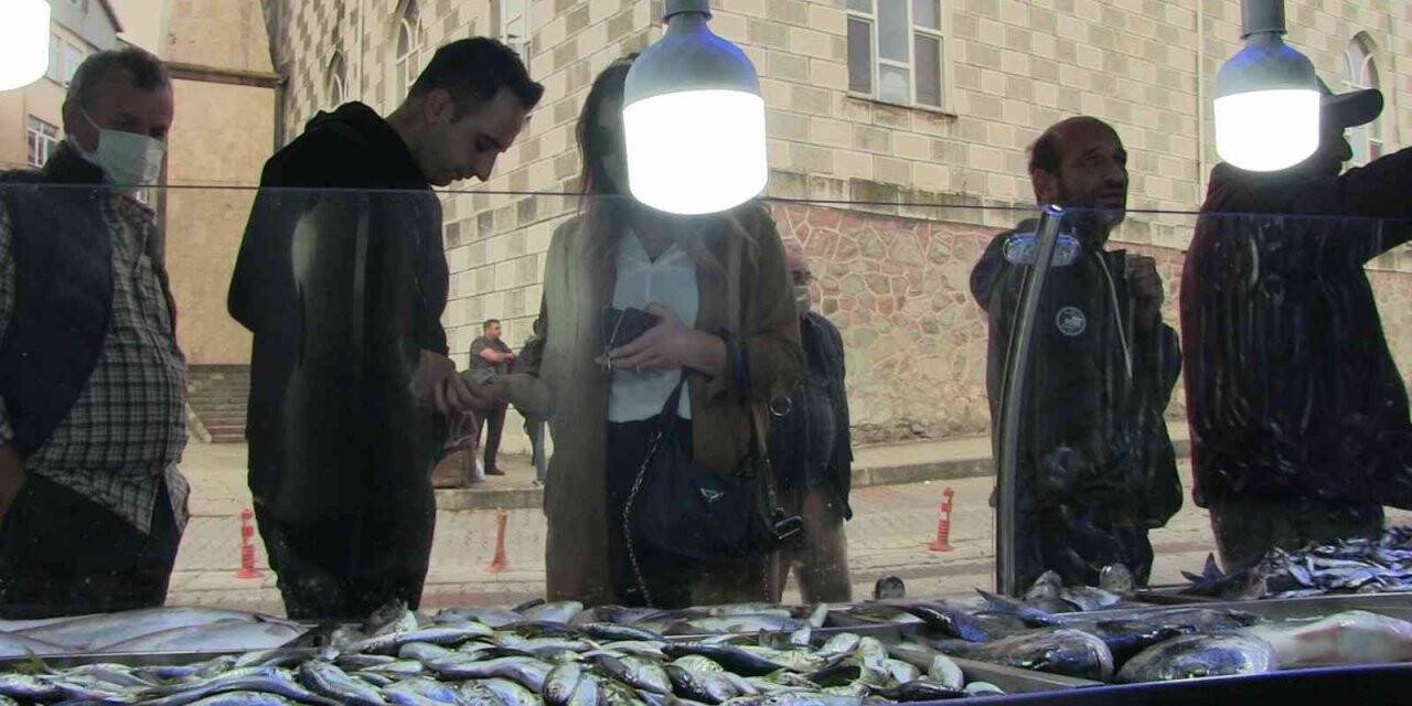 Hamsinin 5 liradan satıldığını duyanlar balıkçıya akın etti